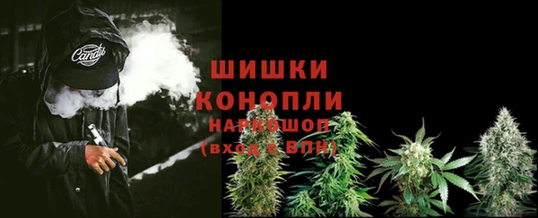ГАЛЛЮЦИНОГЕННЫЕ ГРИБЫ Абинск