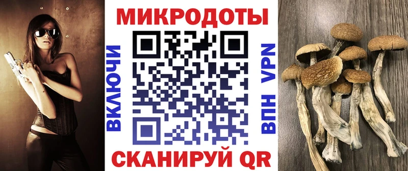 наркота Талдом Псилоцибиновые грибы прущие грибы